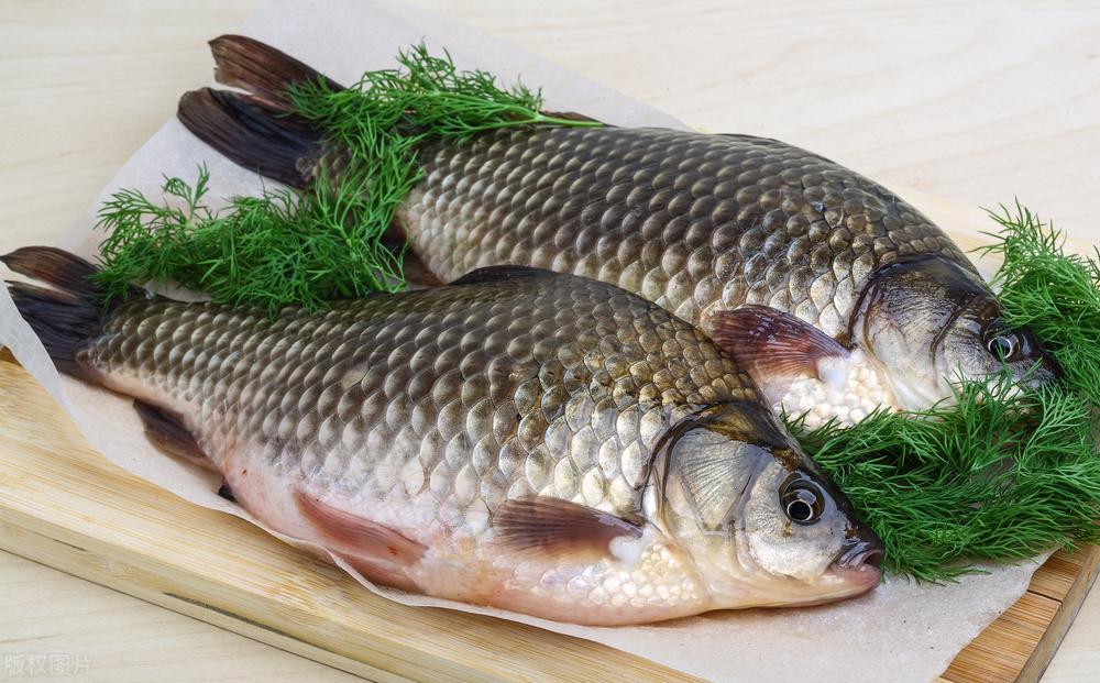 Kubet: Khi mua cá diếc phải phân biệt giữa "cá diếc đất" và "cá diếc công"