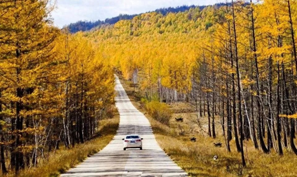 6 cung đường tự lái đến “Mùa thu đẹp nhất Trung Quốc” đều là số 1!-Kubet